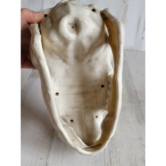 Crazy bonez unicorn head skeleton scary Halloween prop decor - Picture 9 of 13